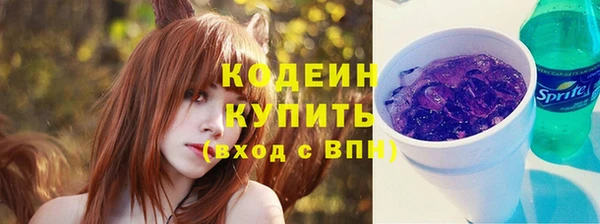 крисы Вязьма