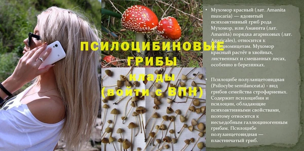 первитин Вяземский
