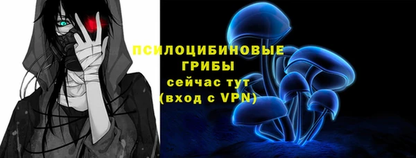 крисы Вязьма