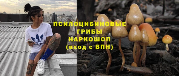первитин Вяземский