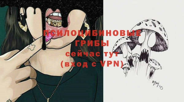 эйфоретик Володарск