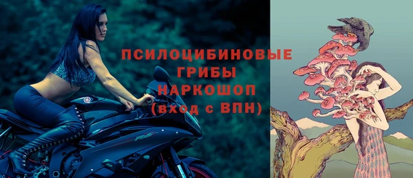 крисы Вязьма
