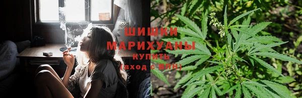 первитин Вяземский