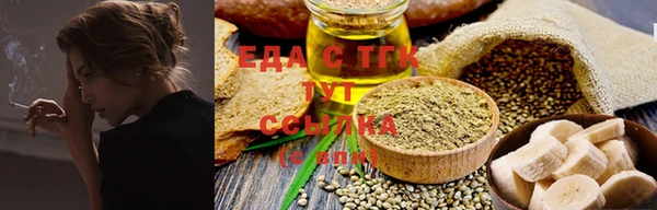 крисы Вязьма